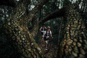 BIB: 
                            <button type="button" onclick="openModal(25692194)" class="btn btn-primary btn-sm float-right btn-popup" data-toggle="modal" data-target=".modal-high-quality">
                        <i class="fas fa-shopping-cart"></i> Add to Cart
                    </button>
                                            <button type="button" onclick="isThisMe(25692194, true)" class="btn btn-success btn-sm float-right btn-popup btn-isme hidden" data-toggle="tooltip" data-placement="bottom" title="นี่คือรูปของคุณใช่ไหม คลิกที่นี่เพื่อเอาเข้าอัลบั้ม">
                        <i class="fas fa-plus"></i> Add to album
                    </button>
                    <button type="button" onclick="isThisMe(25692194, false)" class="btn btn-warning btn-sm float-right btn-popup btn-isnotme hidden">
                        <i class="fas fa-ban"></i> Remove from album
                    </button>